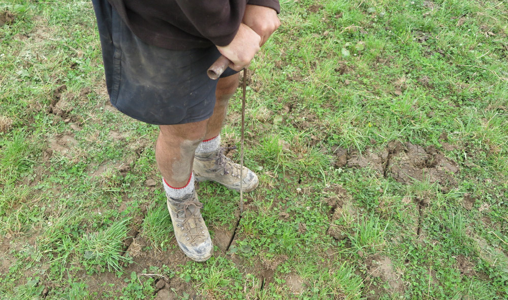 pasture aerator