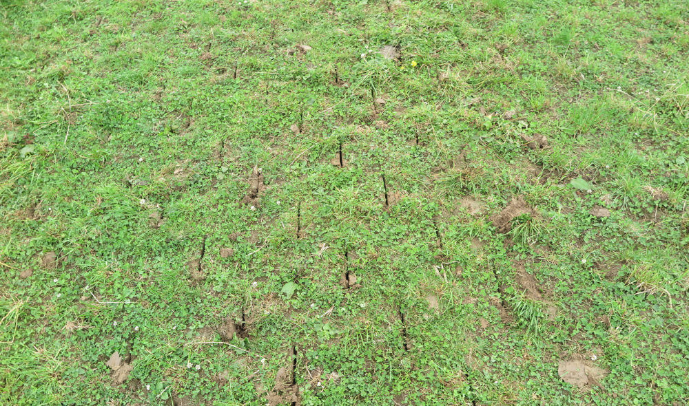 pasture aerator