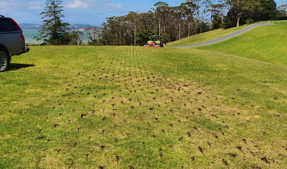 pasture aerator